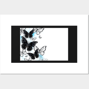 Background with black butterflies Posters and Art